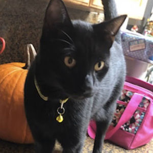 Meet your Posher, Tina